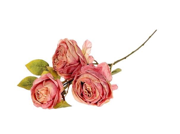 Branch Rosa Gallica L70