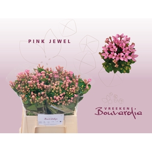 BOU EN PINK JEWEL