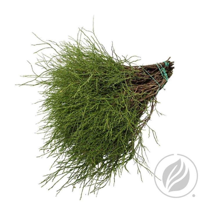 <h4>Heidelbeer Extra</h4>