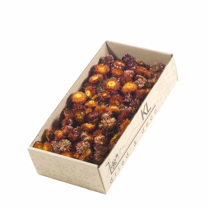 <h4>Helichrysum Heads 100gr Natural Red</h4>