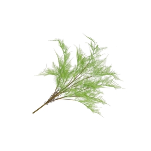 Silk Fern Asparagus Light Green 77cm