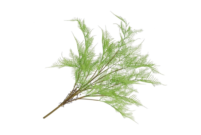 <h4>Silk Fern Asparagus Plant Light Green 77cm</h4>
