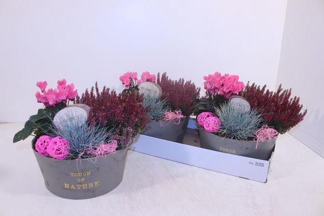 <h4>ARR GARDEN PINK X2</h4>
