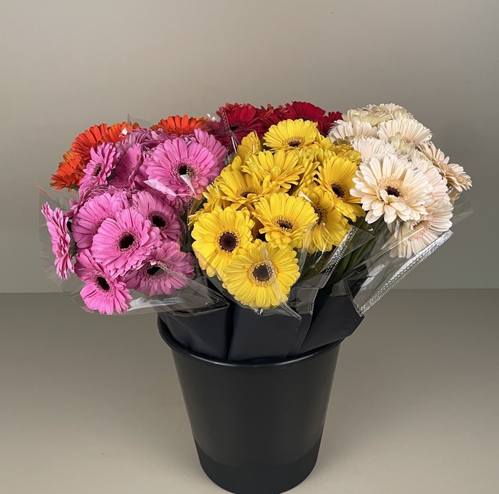 <h4>Bouquet Mono Germini 7-er mix</h4>