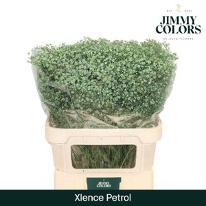 Gyps Xlence L80 Petrol