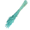 Droogbloem Lagurus 65cm 100g