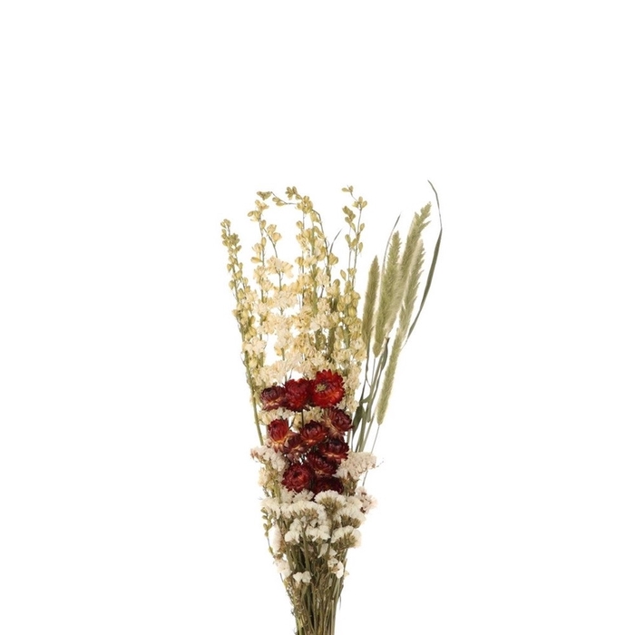 <h4>Dried flowers Bouquet Dutch 55cm</h4>