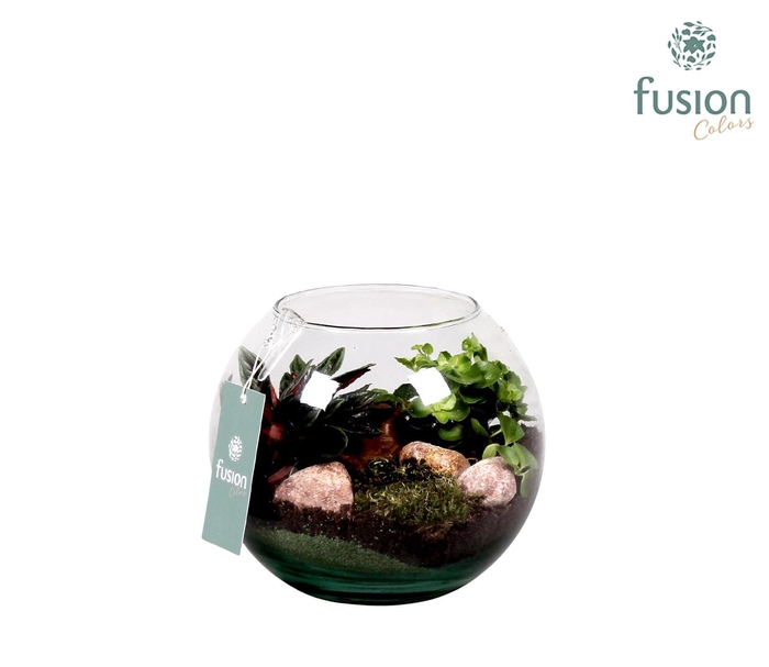 <h4>Najaar glazen vissenkom met Groen plantjes D19 H16</h4>