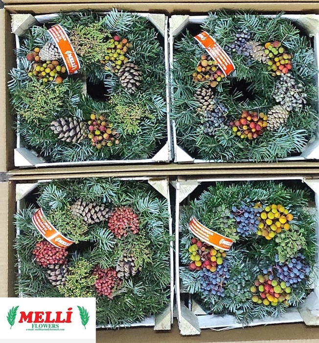 <h4>SIERFRUIT KRANS H%</h4>