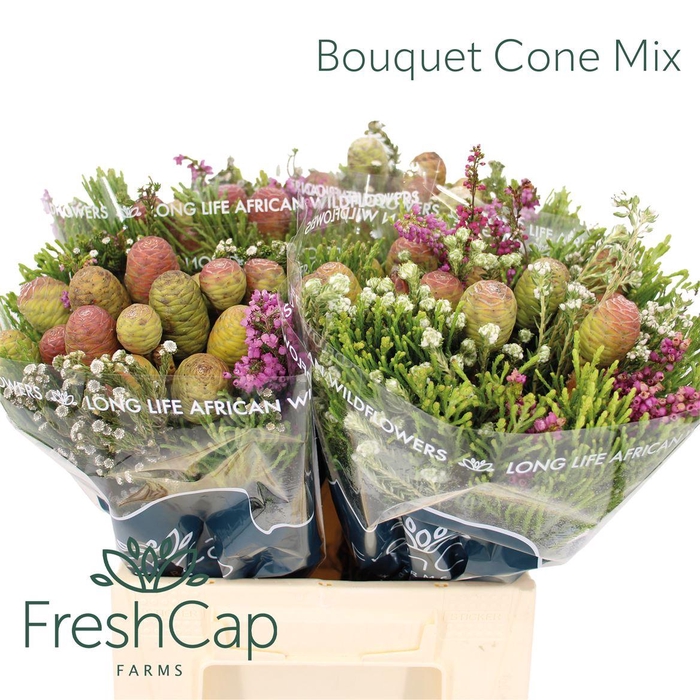 <h4>Bouquet Cone Mix</h4>