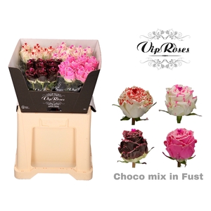 R GR CHOCO MIX FUST 60cm 588