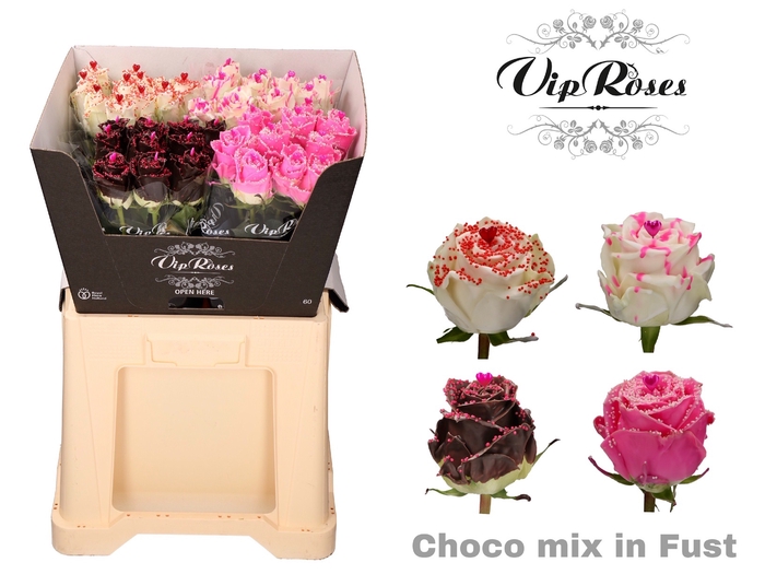 <h4>R GR CHOCO MIX FUST 60cm 588</h4>