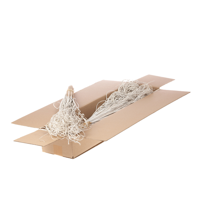 <h4>Curly Ting Sb Wht Silv Gl</h4>