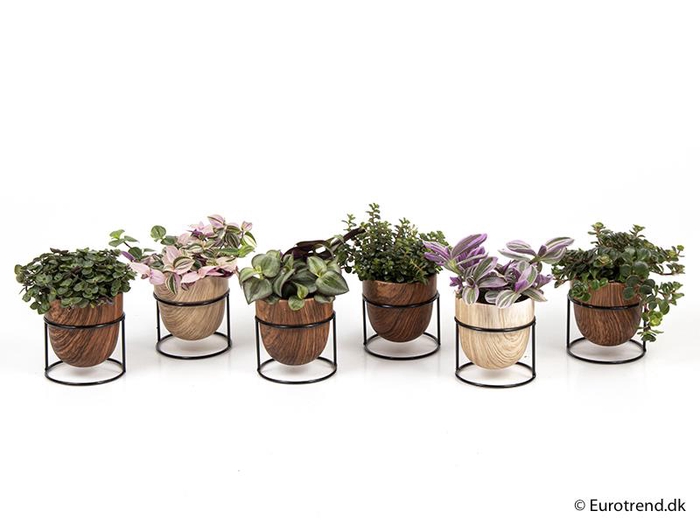 E 4673 trælook på stativ