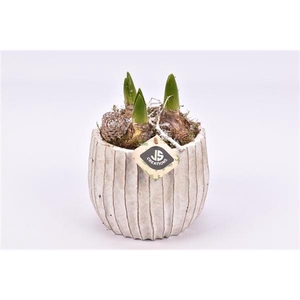 Cement pot ribbel ww 14cm