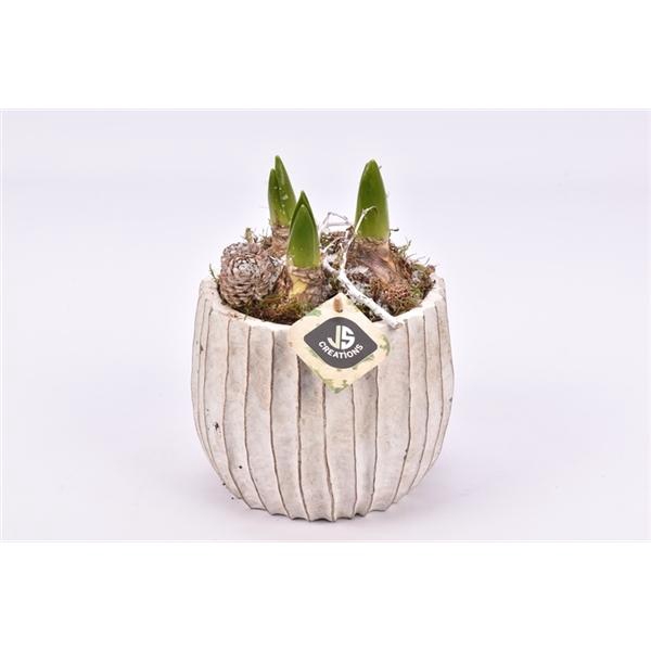 <h4>Cement pot ribbel ww 14cm</h4>