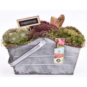 Zink rechthoek met hengsel 24x11cm