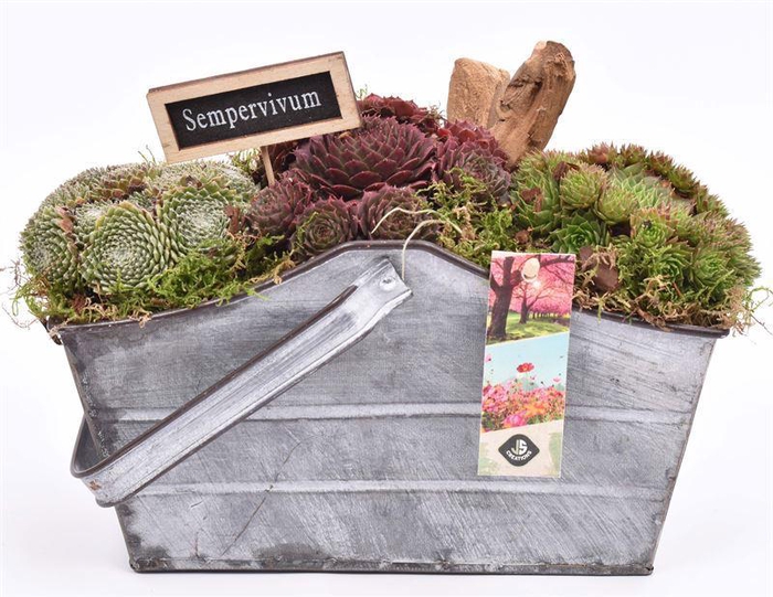 <h4>Zink rechthoek met hengsel 24x11cm</h4>