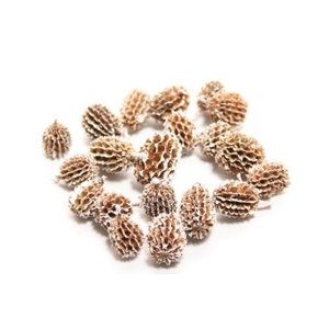 Casurina Pods 750g