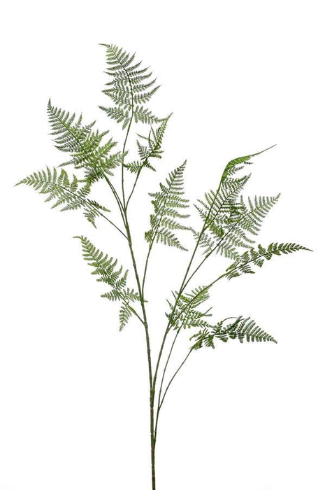 <h4>Asparagus spray green 135cm</h4>