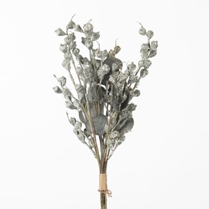 AF Eucalyp Seed Bundle L43cm G