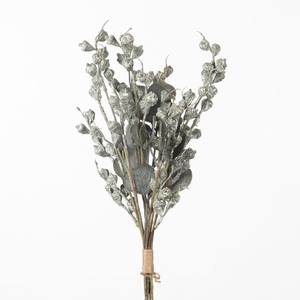 AF Eucalyp Seed Bundle L43cm G