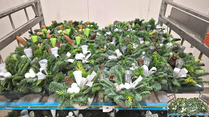 <h4>ARR KERST H%</h4>