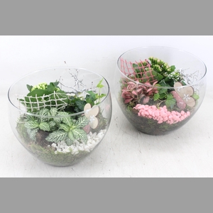 arr2 MB - Glas schaal hoog x2 - roze/wit