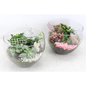 arr2 MB - Glas schaal hoog x2 - roze/wit