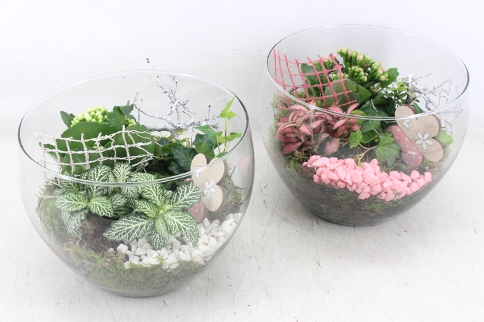 <h4>arr2 MB - Glas schaal hoog x2 - roze/wit</h4>