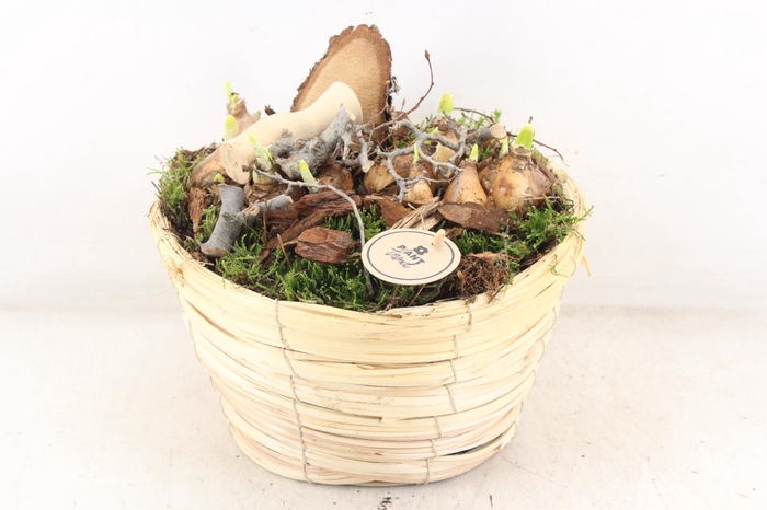 <h4>arr4 Bollenmix PL - Mand paia naturel</h4>