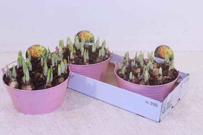 <h4>ARR N TETE A TETE</h4>