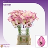 Calla Denver | Heavy Quality
