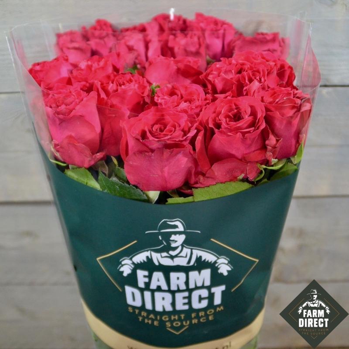 <h4>R GR EXOTIC BERRY</h4>