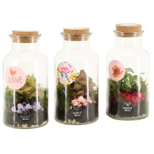 21879: Lovess terrarium