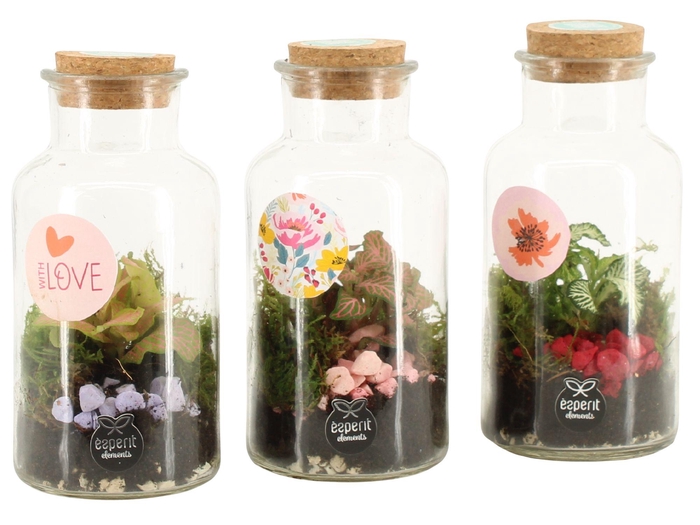 <h4>21879: Lovess terrarium</h4>