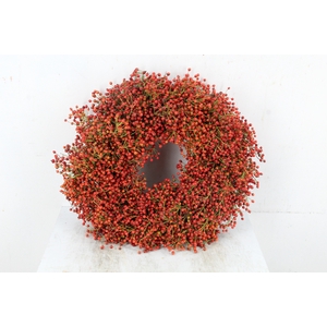WREATH ROSA ORANGE