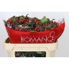 Hypericum True Romance Spray