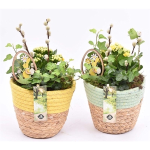 Touwmand met leer handv.18-20cm