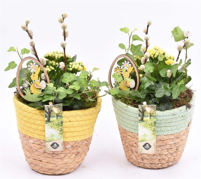 <h4>Jutemand met gekl. rand gl/gr 14,5c</h4>