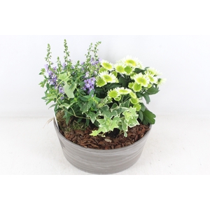 arr4 Outdoor PL - Ker. schaal choco