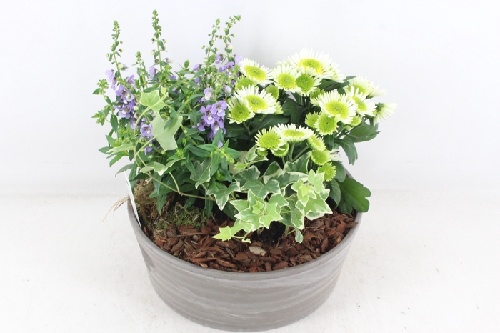 <h4>arr4 Outdoor PL - Ker. schaal choco</h4>