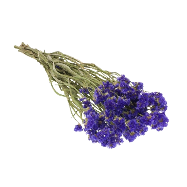 <h4>Droogbloemen - Statice Blue</h4>