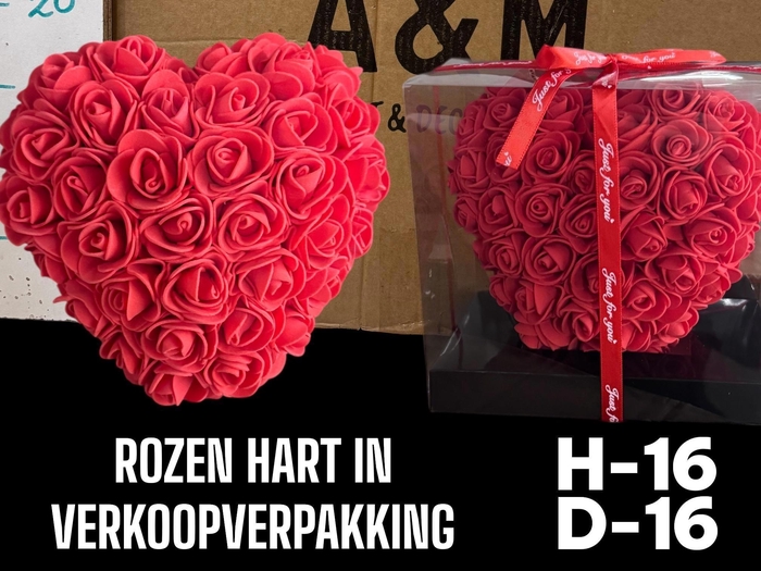 <h4>HUIS EN TUINDECO H%</h4>