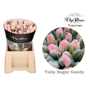 Vip Tu En Sugar Candy A