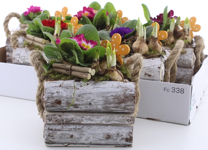 <h4>ARR PL IN SCHAAL</h4>