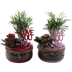 Valentine Arr. Indoor Glass Bowl with Rope Ø20cm 3PP