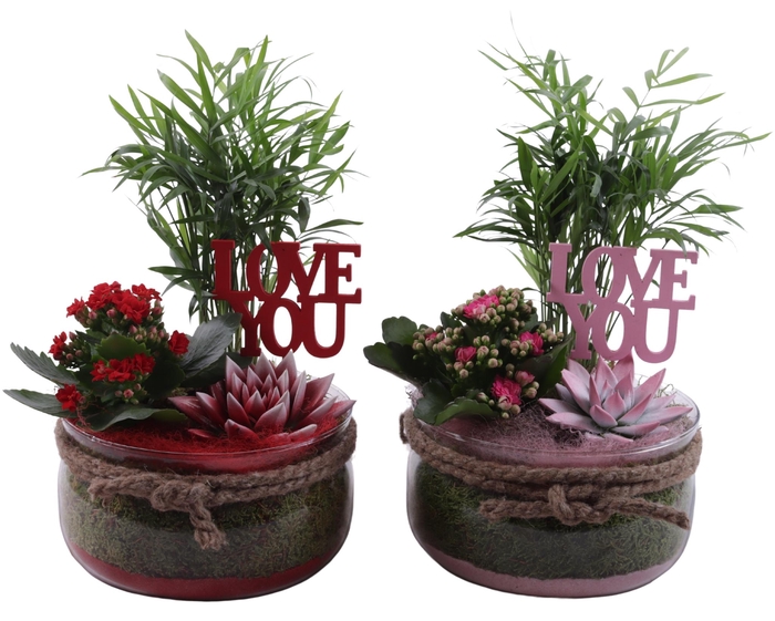 <h4>Valentine Arr. Indoor Glass Bowl with Rope Ø20cm 3PP</h4>