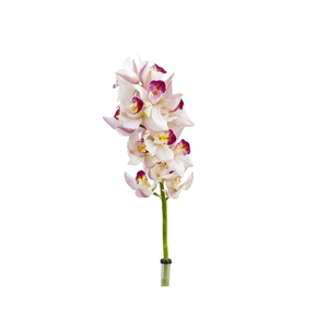 CYMBIDIUM HT MIN 12 FLS ROSA CLARO