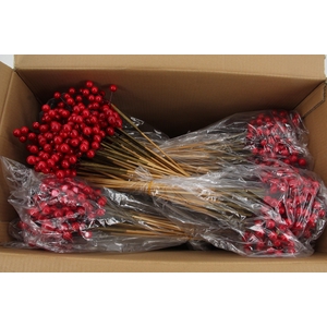 Stick Berries Rose Hips Red